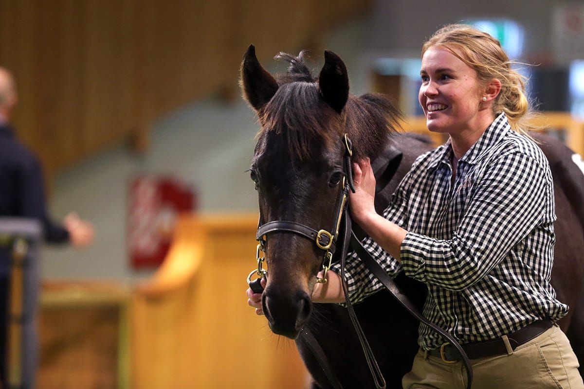 ‘Must have’ filly tops Wong’s buying-spree