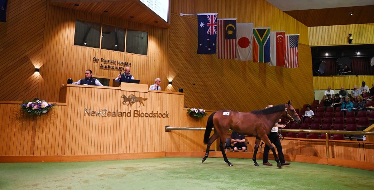 Entries Open for Karaka 2024