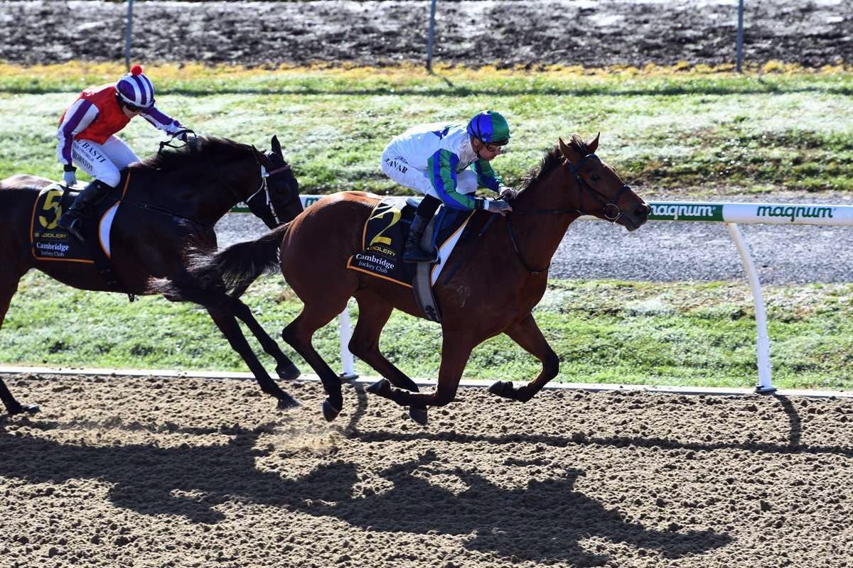 Stud colors take center stage at Cambridge