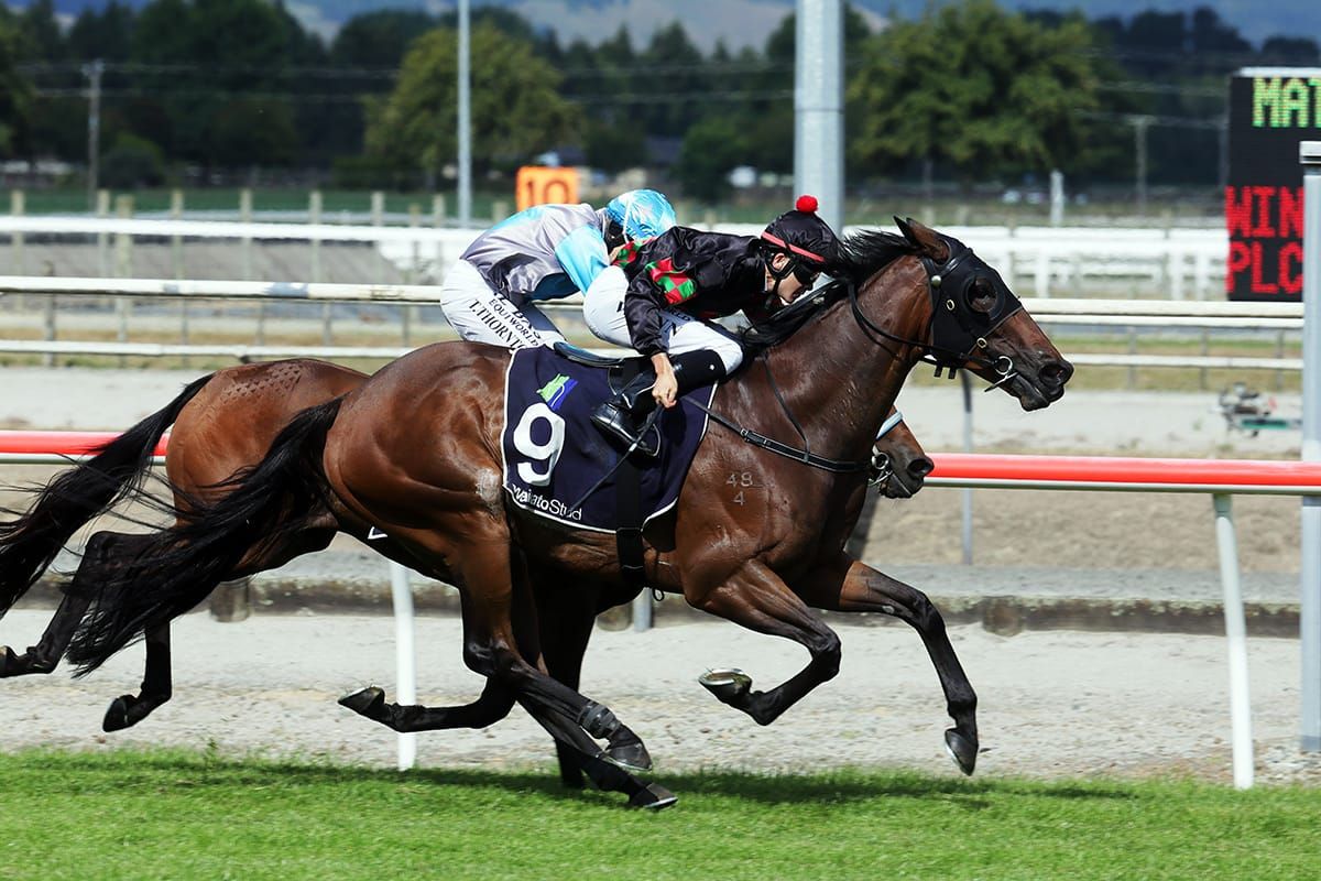 Richardson-Norvall take team of four to Ruakaka