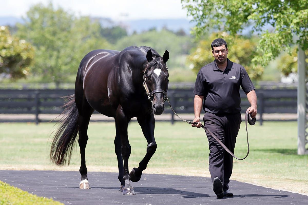 Redwood continues his run of success