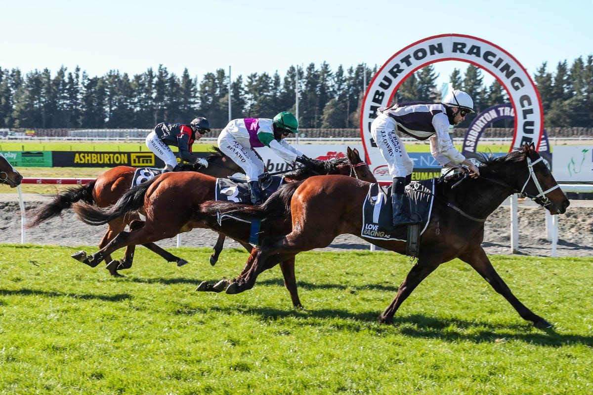 Sea Shepherd edging closer to Winter Cup target