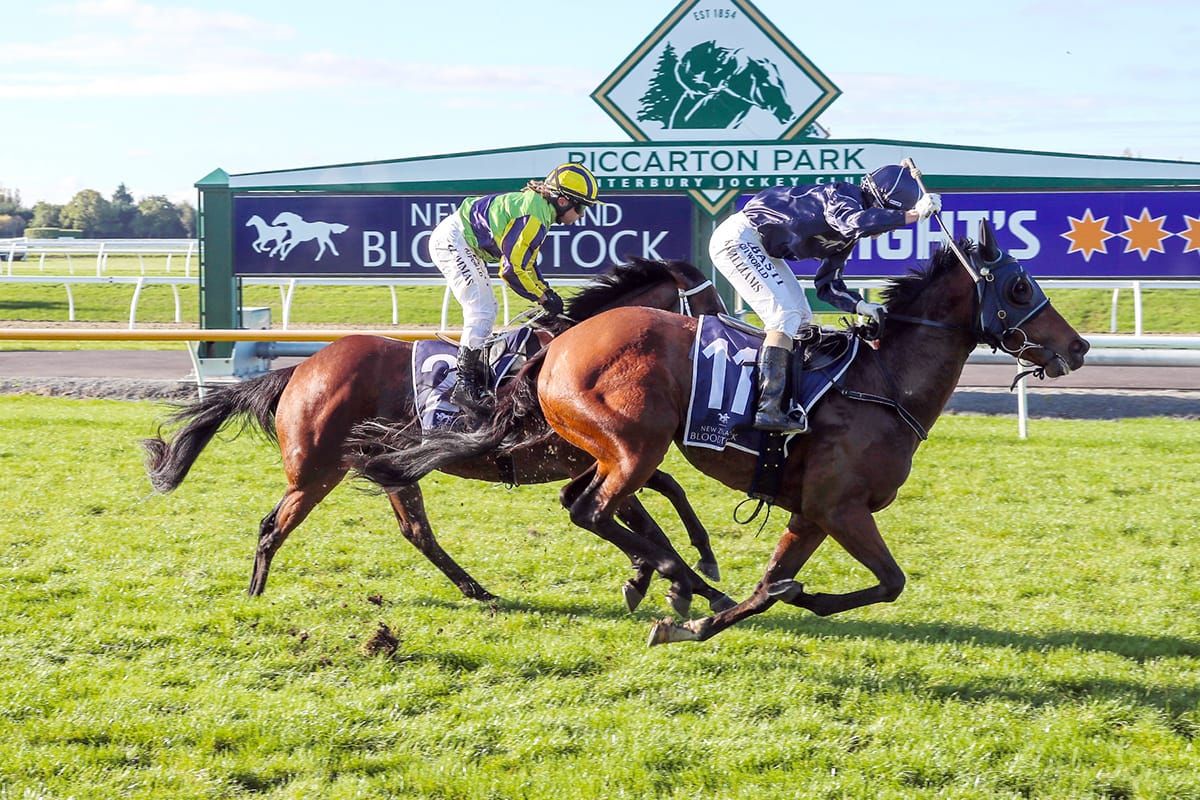 Stakes-winning bargain filly Australian-bound