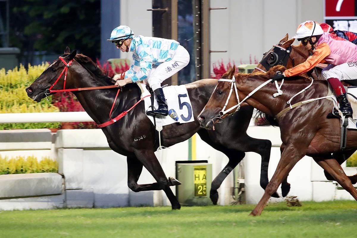 Tuchel lands Plate for Premier combination