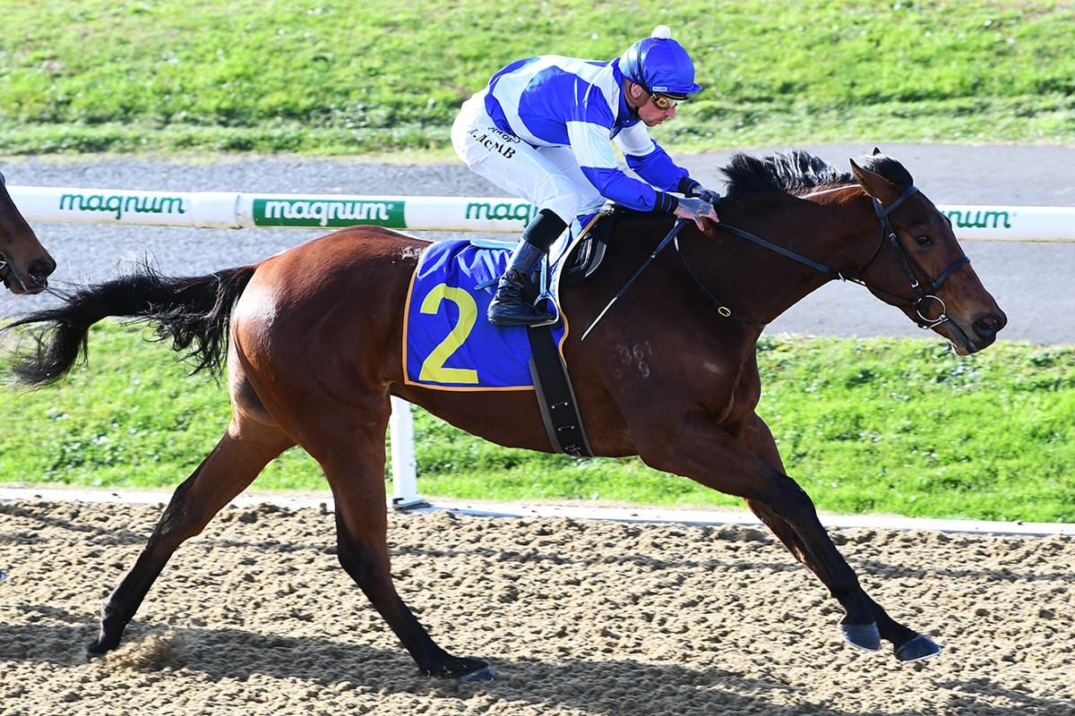 100 percent strike rate for local trainers