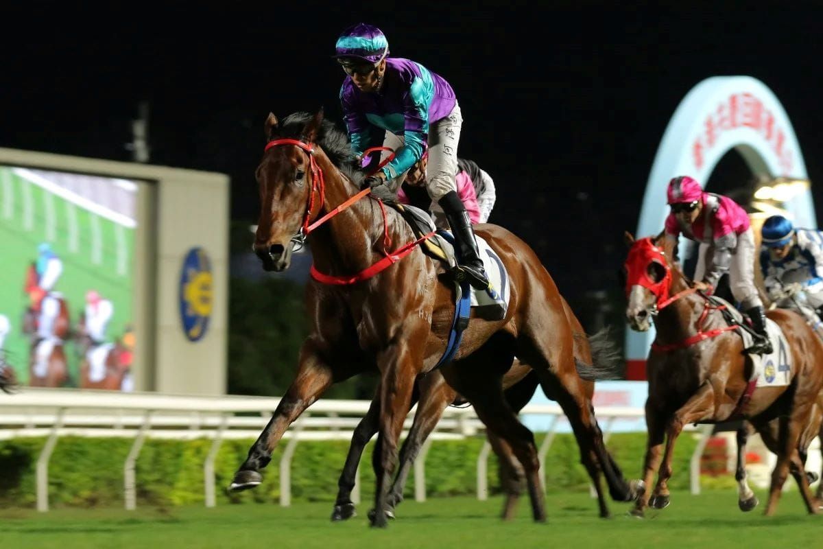 Another victory for Dream Winner