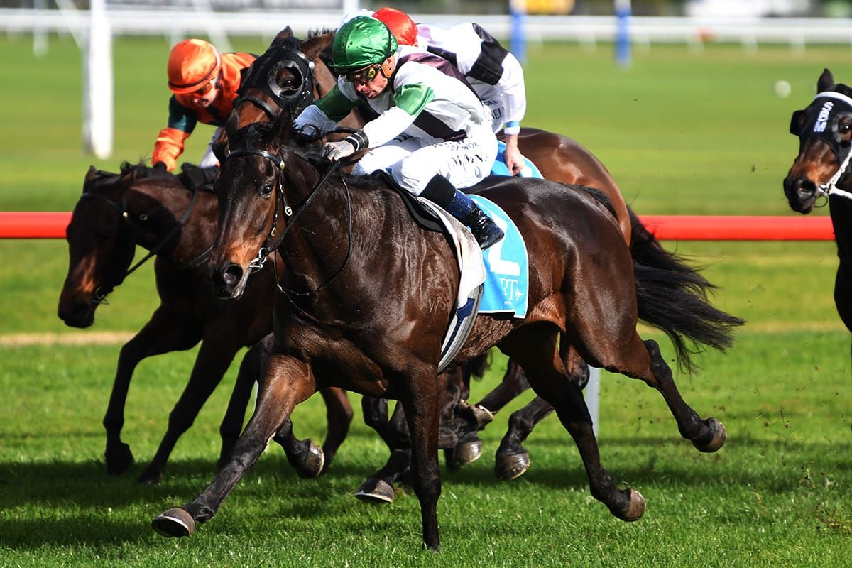 Elemental claims debut win