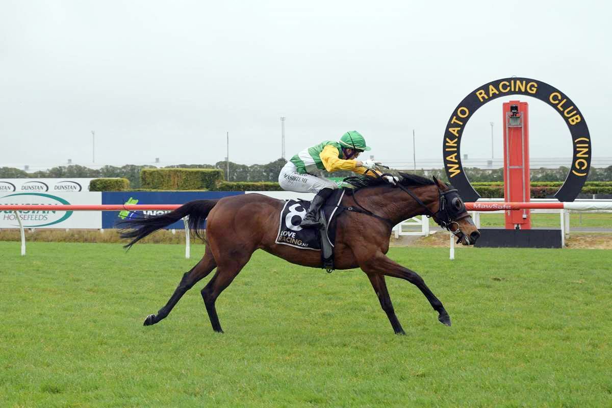 Stakes performers fresh off the racetrack in National Online Breeding Stock Sale