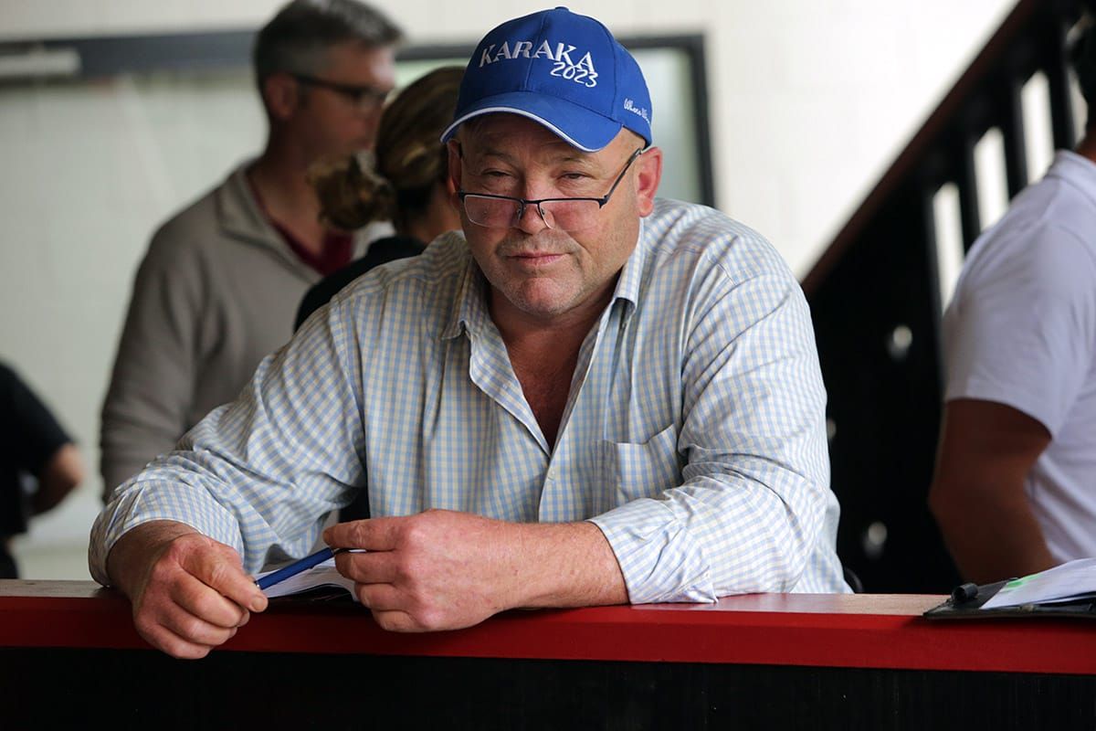 Trip to suit Moody galloper on debut