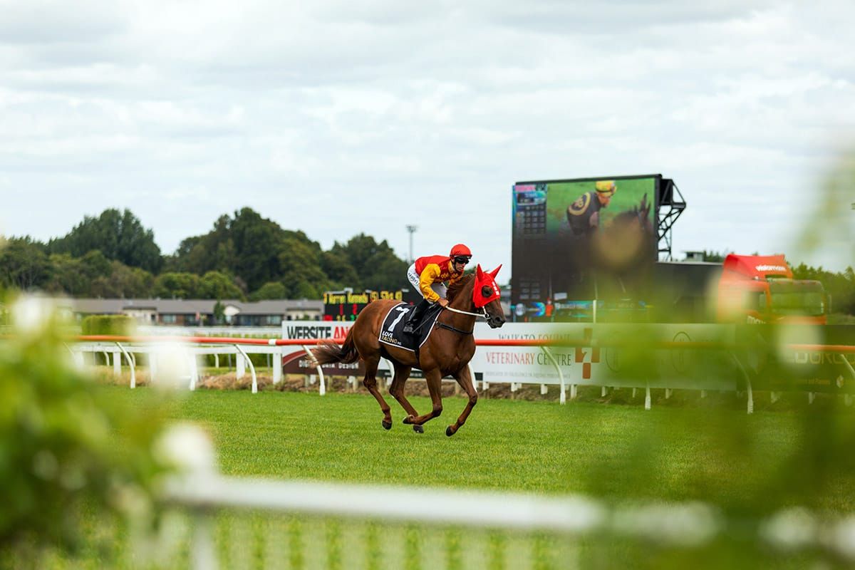 Momentous Week for Waikato Thoroughbred Racing