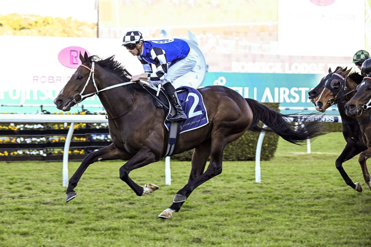 Listed double for Ucalledit