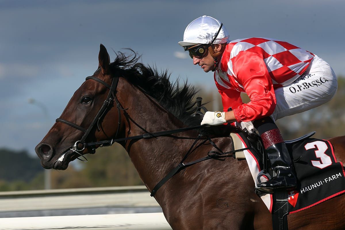 Kingsclere chasing winter feature