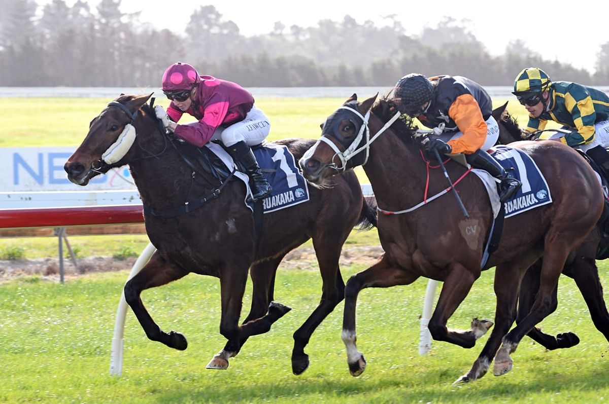 Local trainers looking to capitalise at Ruakaka