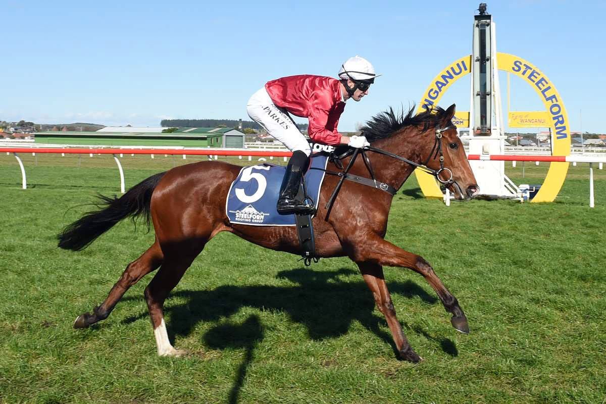 Raced Evens brings pedigree and performance to Gavelhouse auction