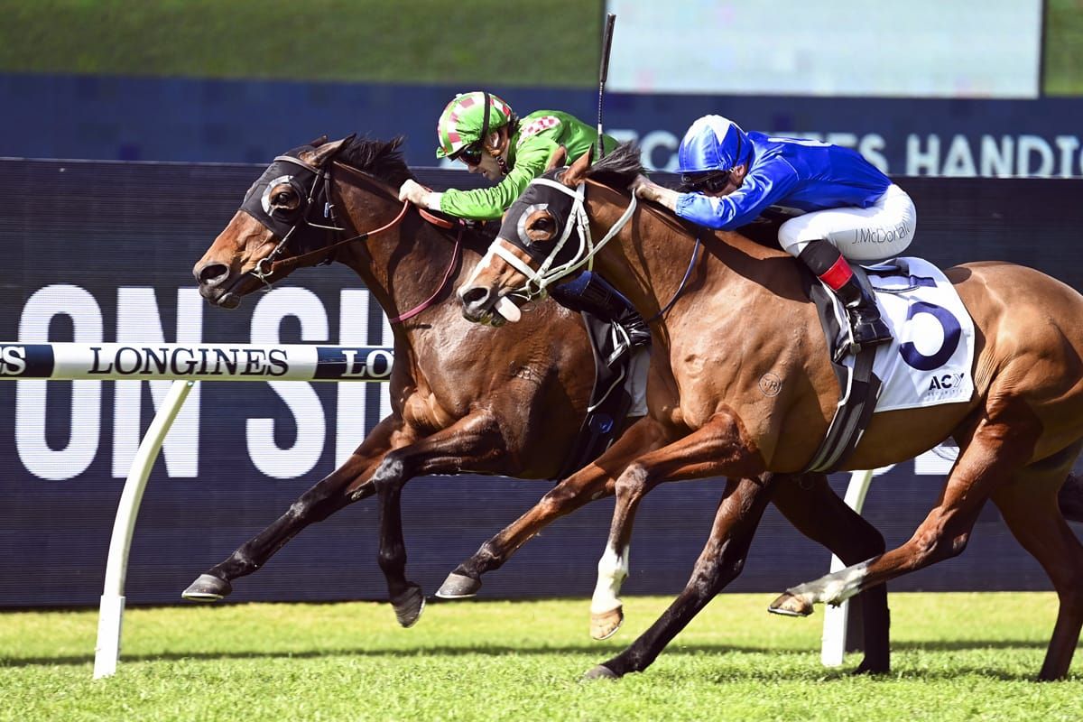 Travelling Kate too tough at Rosehill