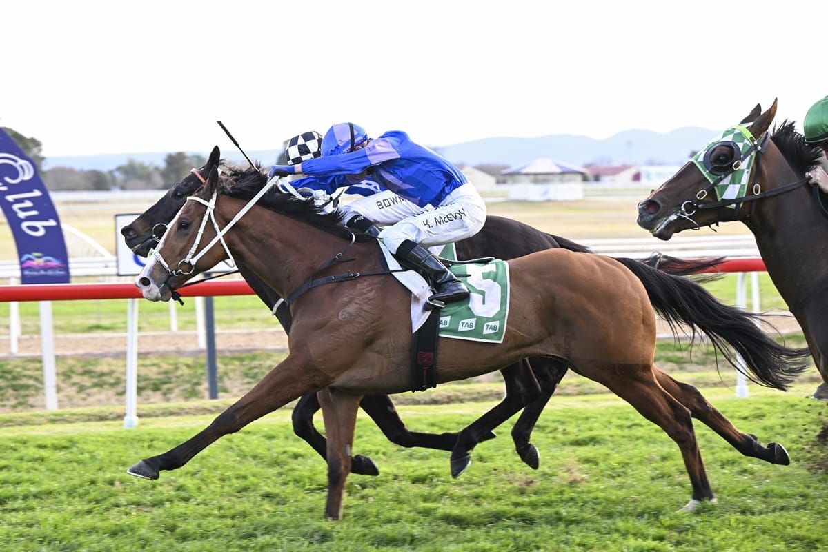 Bold win in Rowley Mile