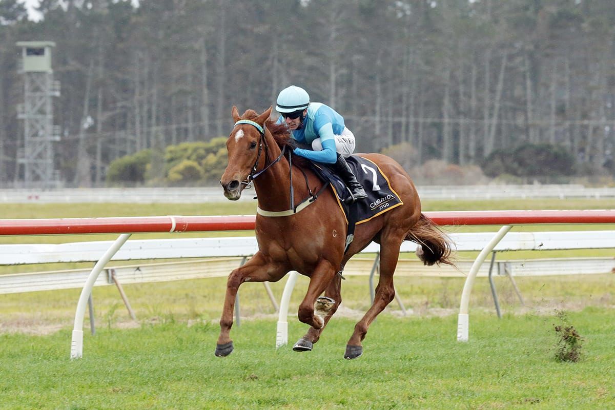 Crocetti claims Group Three win