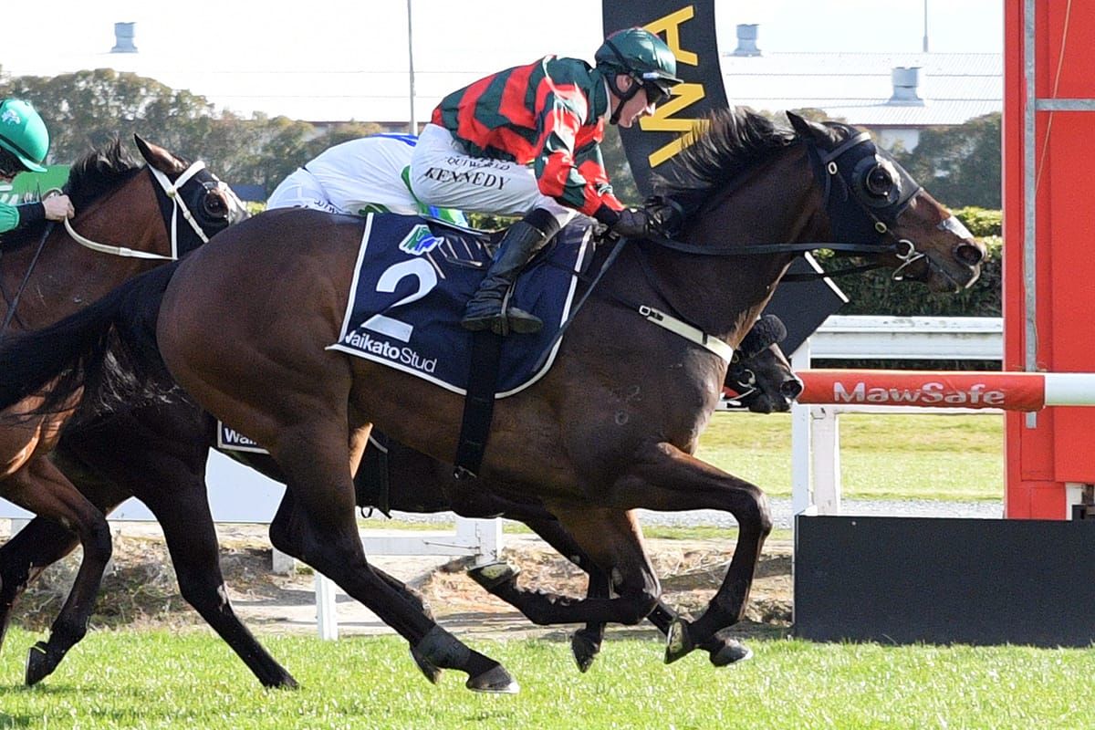 Wexford Stables set to unveil debutants at Avondale