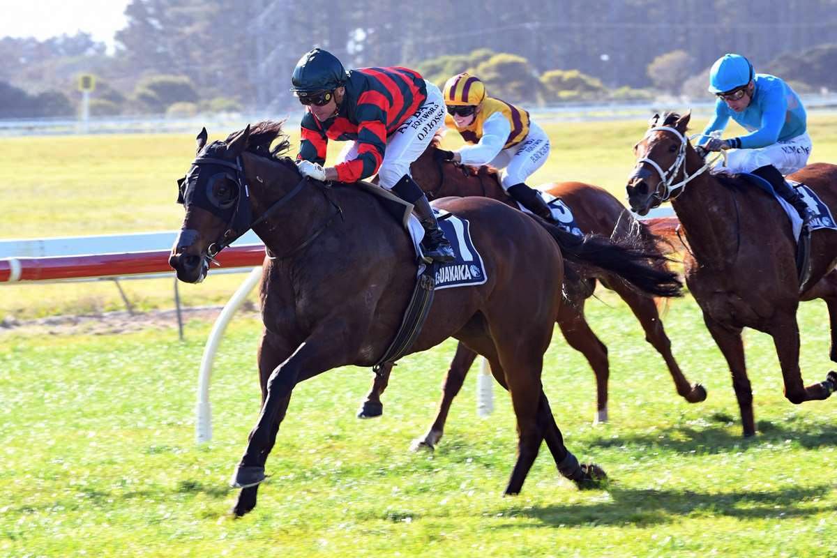 Dragon Leap all set for Foxbridge