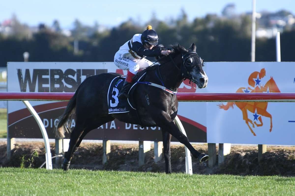 Good Oil wins second consecutive Super Seth mile