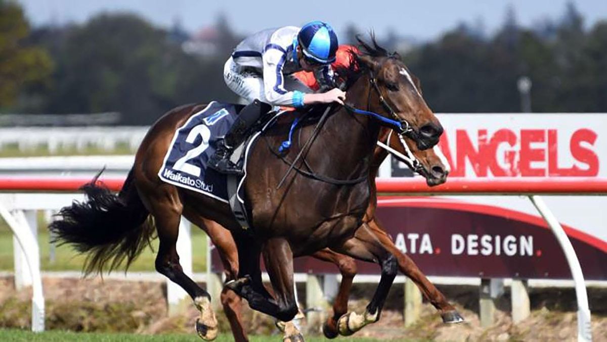 Debut victory for Lupo Solitario
