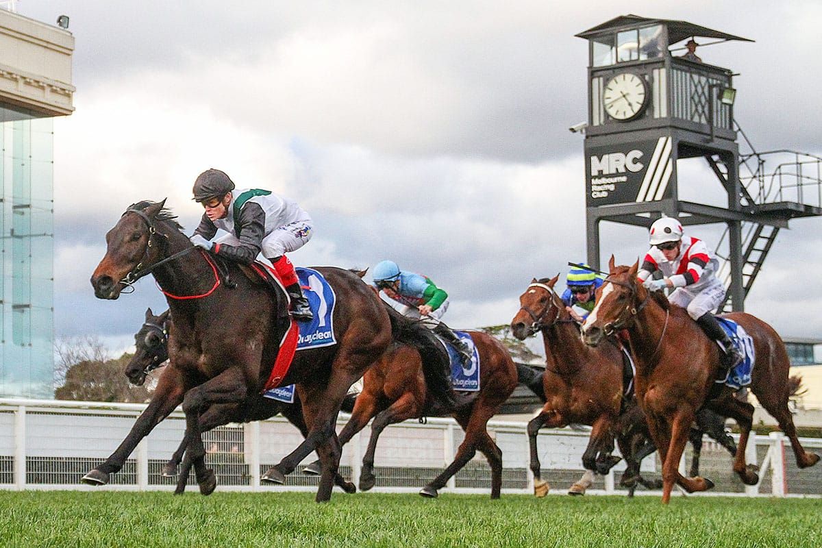 Mr Brightside lands second P.B. Lawrence