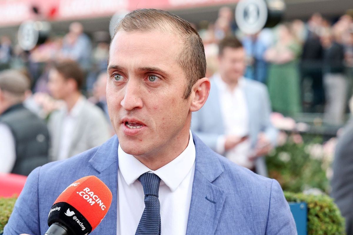 Wolfy out to stamp Guineas credentials