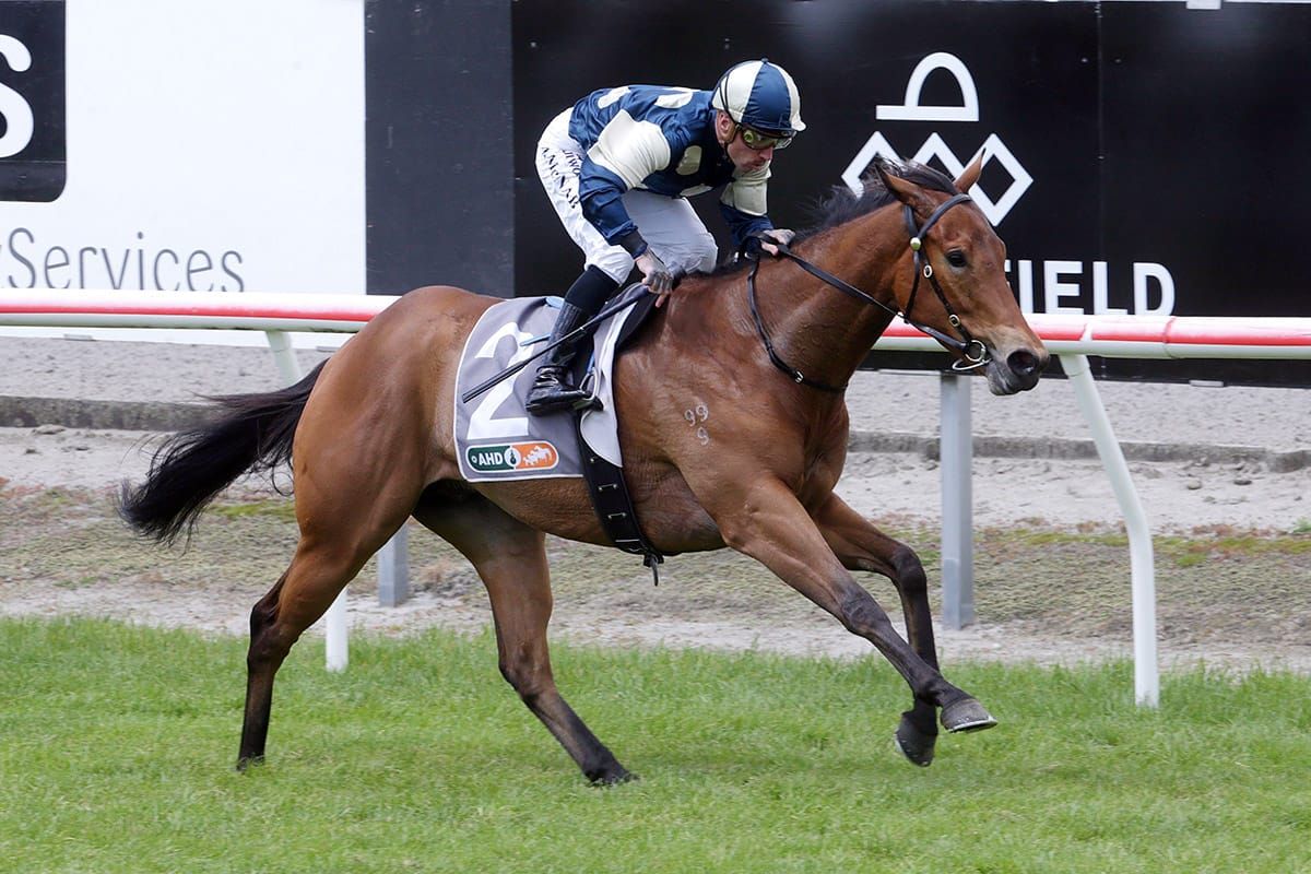 Pier makes winning trial return