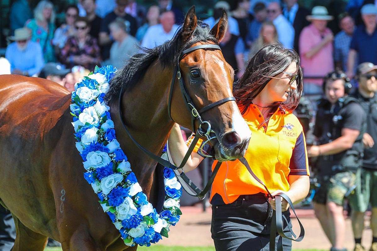 Sky On Fire adds black-type quality to gavelhouse.com sale