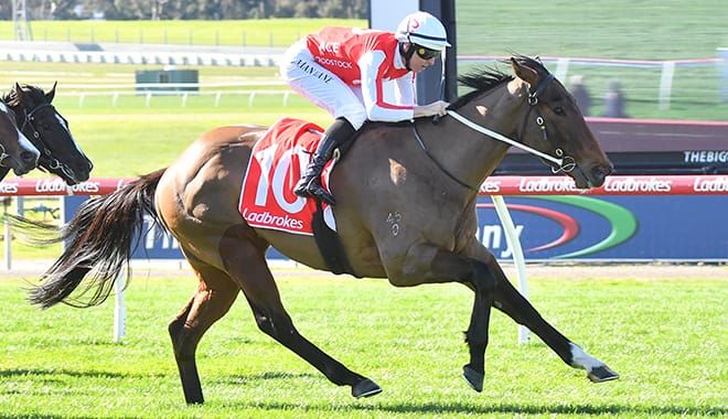 Tough draw for Snow Patrol