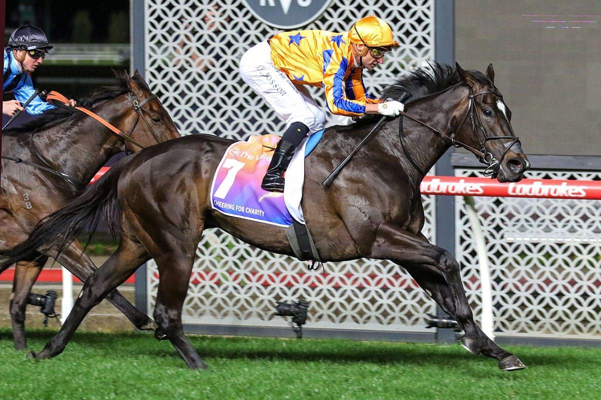 Imperatriz to race in Australia in Autumn