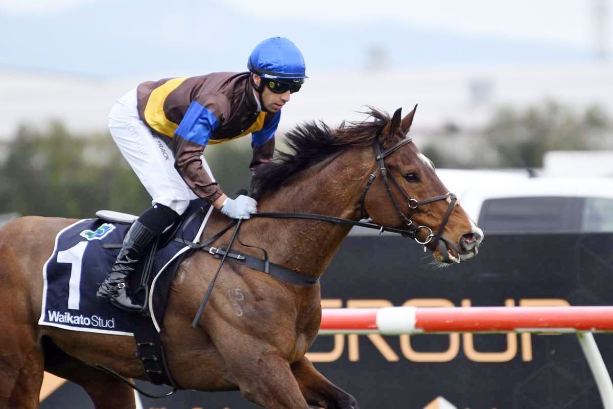 Nelson/McDougal seeking elusive crown