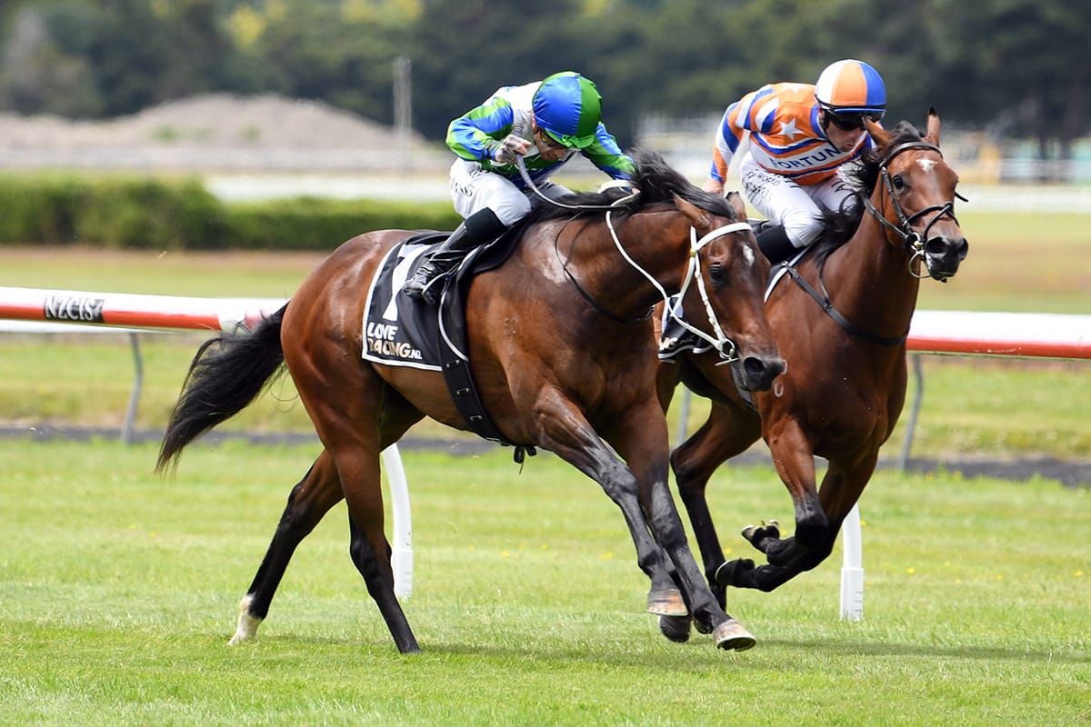 Marsh team on song for stakes test