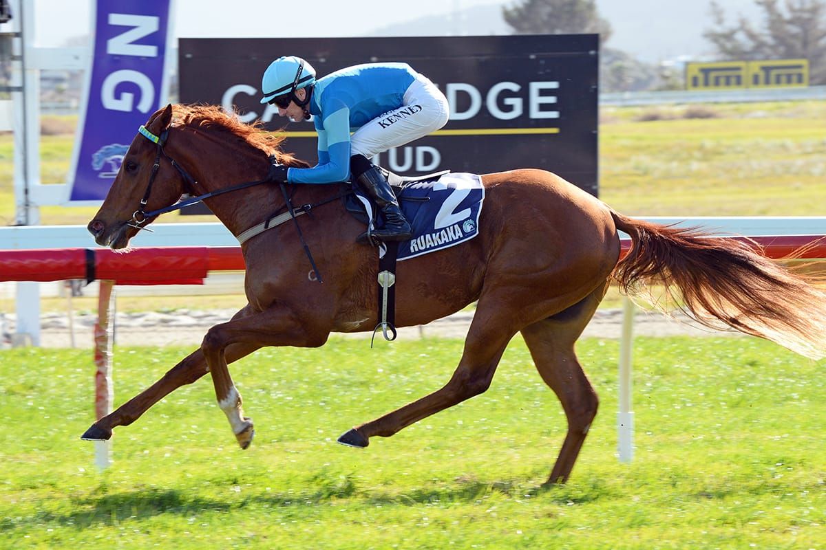 2000 Guineas hope to step out at Te Rapa