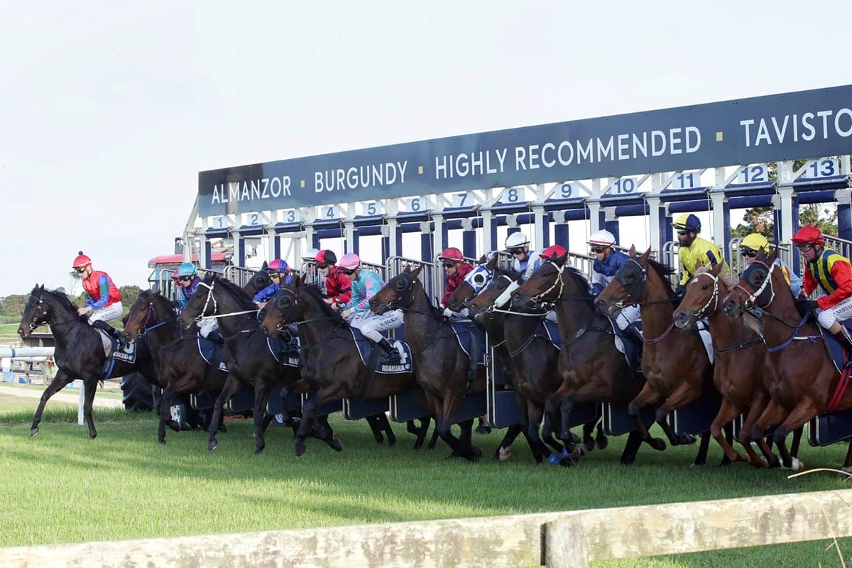 TAB Racing Club a new player in racehorse ownership