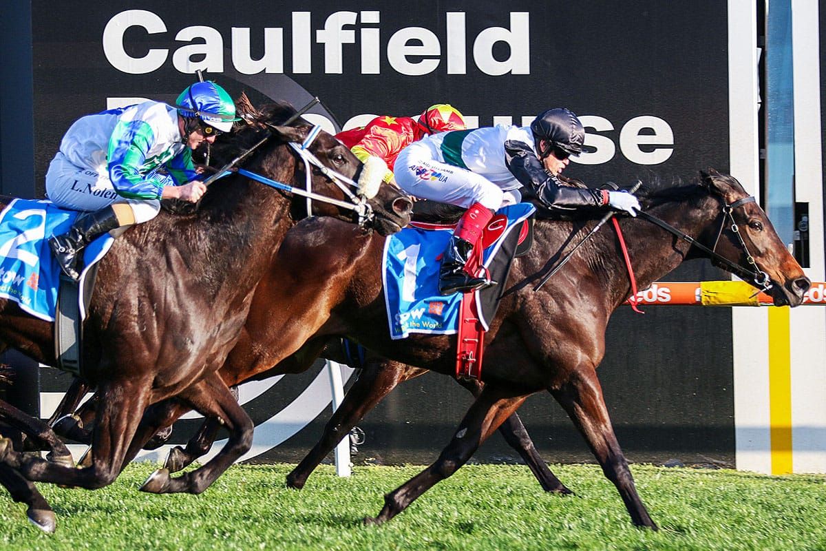 Lindsay Park looking on the Brightside