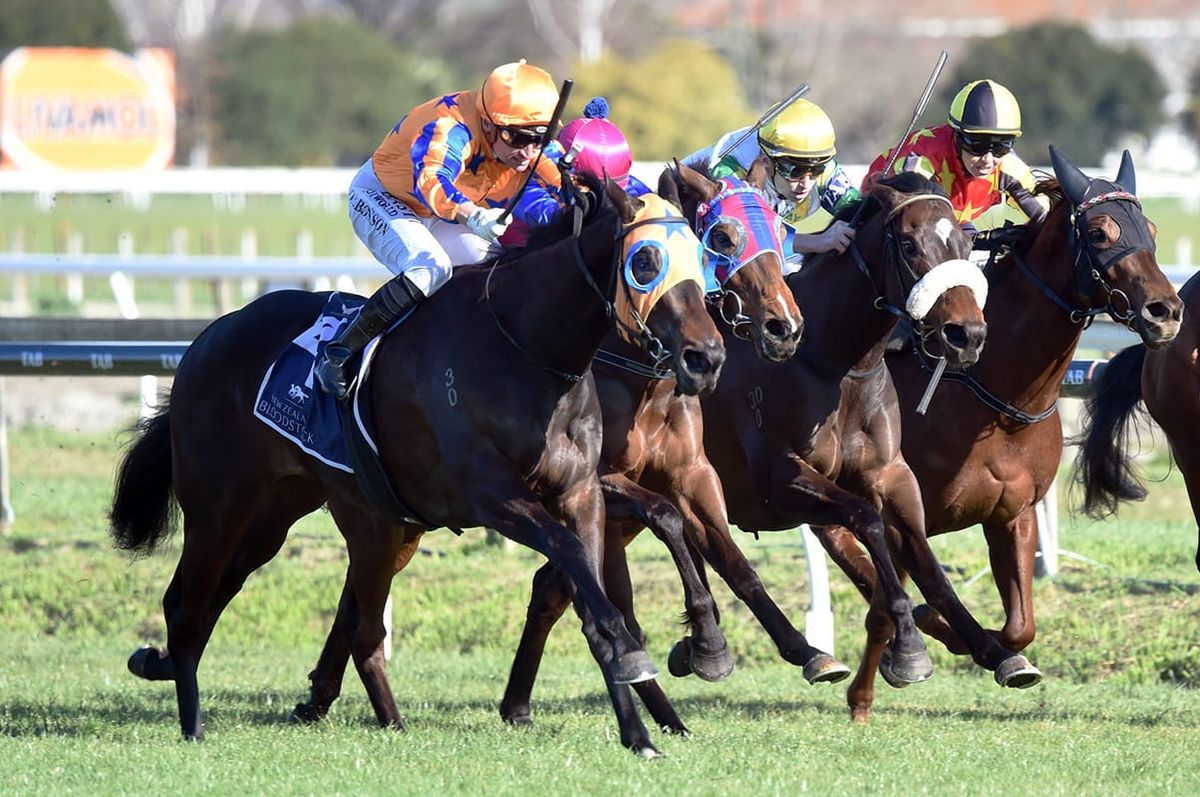 Quintessa continues winning run in Gold Trail