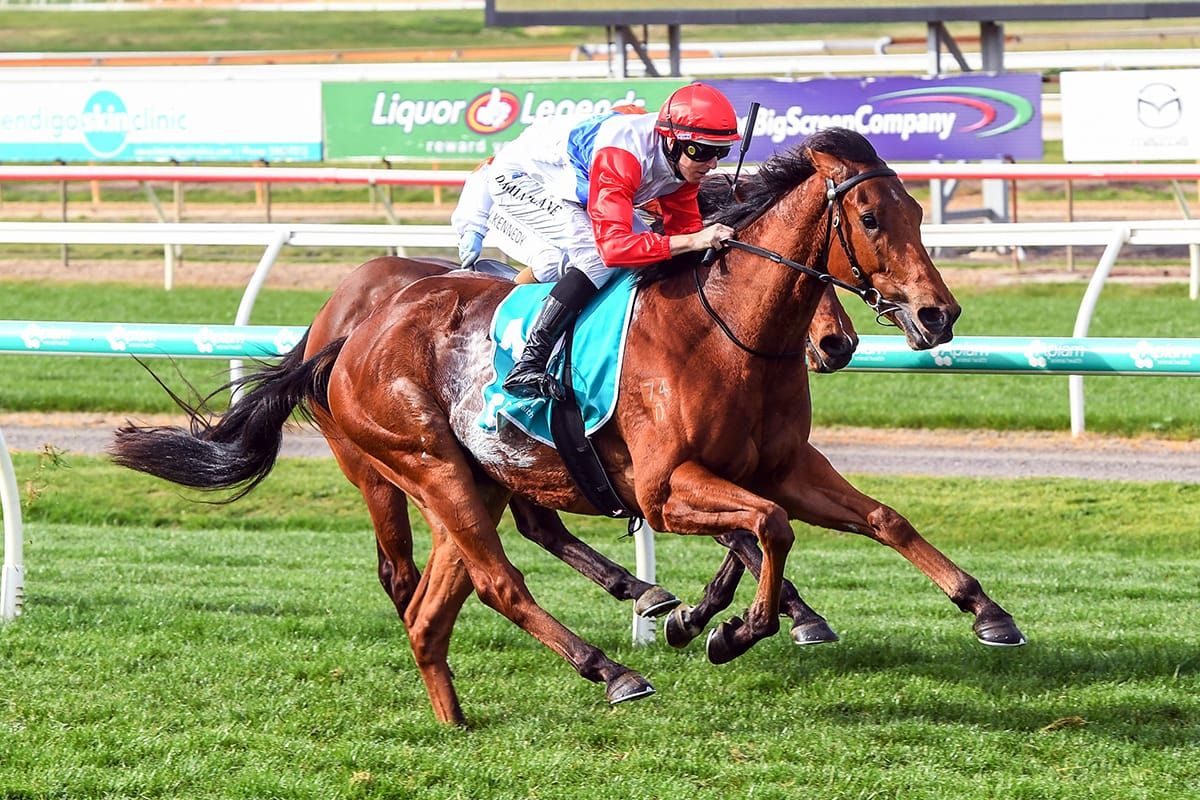Riproar to follow Derby path