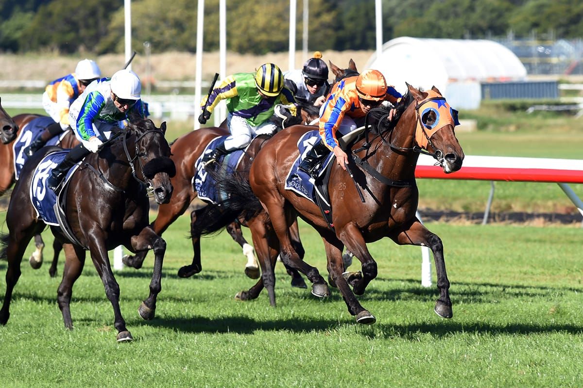 Te Akau team on song for Taupo