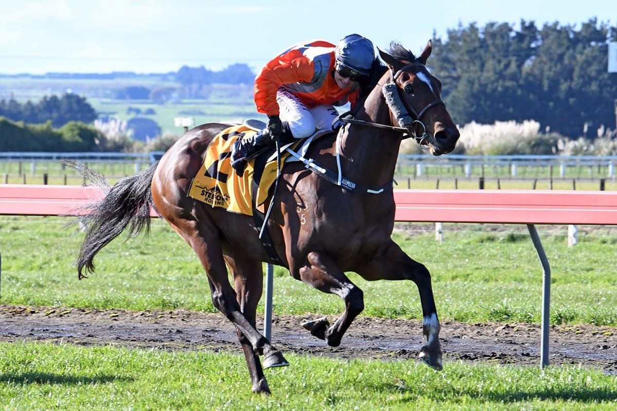 Tavi’s Court rewards patience