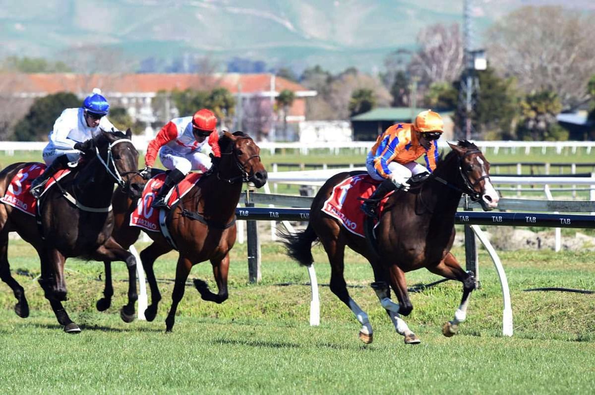 Team Te Akau out in force this weekend