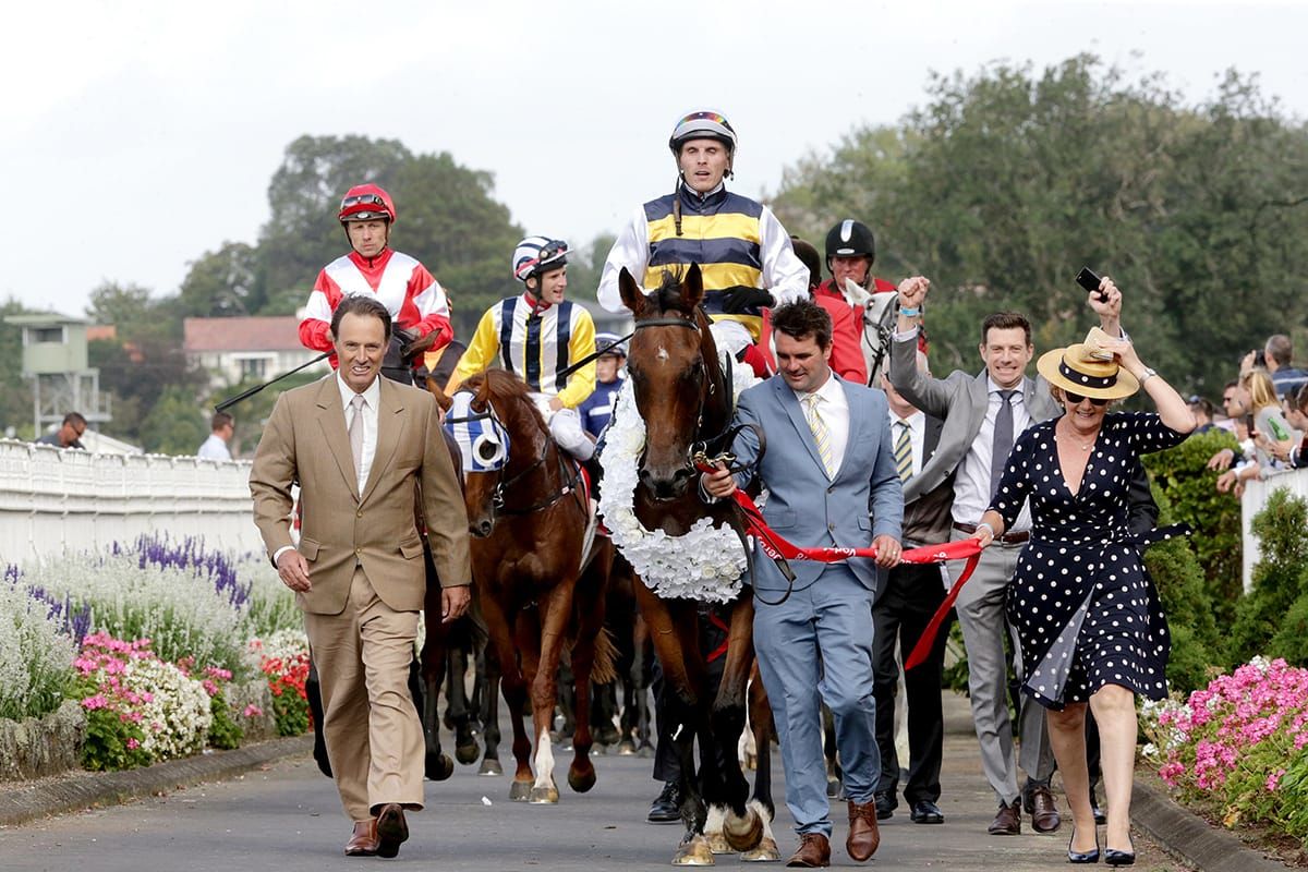 Turf and Data Advantage Continues to Prove NZB’s Ready to Run Success