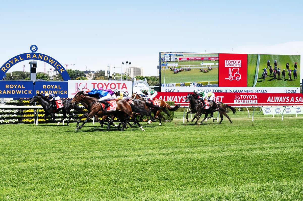 Bott can’t split Champion contenders