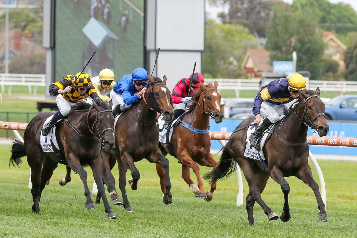 Coeur Volante on target for Guineas goal
