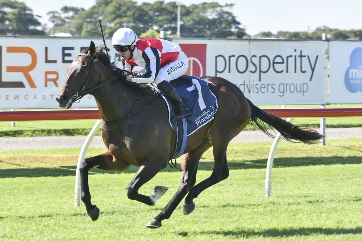 Cotehele to shine in Diamond Prelude