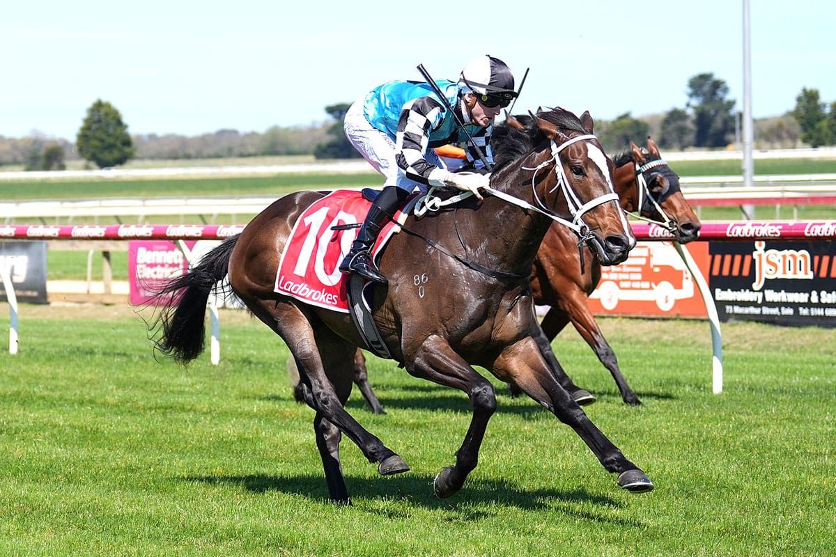 Derby dreaming for Eminent’s son Dulcet