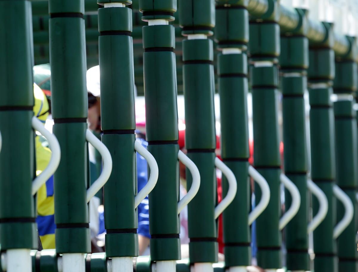 Auckland Thoroughbred Racing pattern and racing changes for the 2023/24 season 