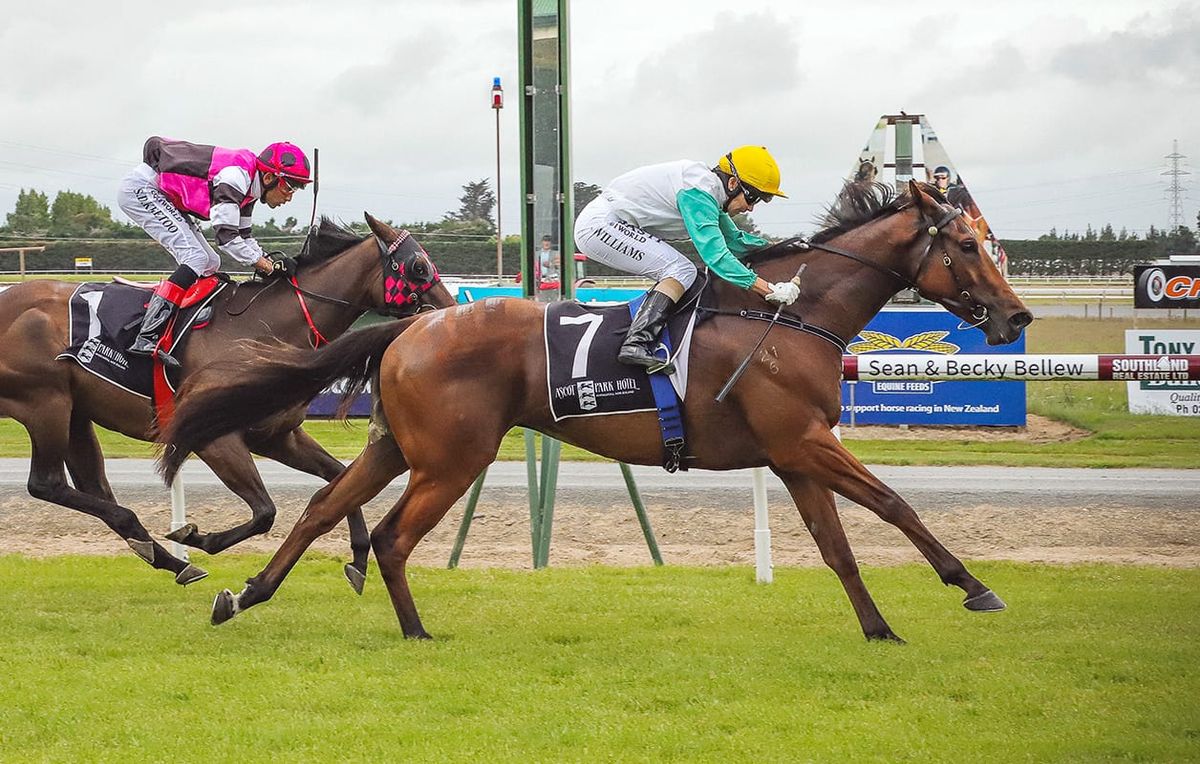 Humbucker returns to racing at Gore