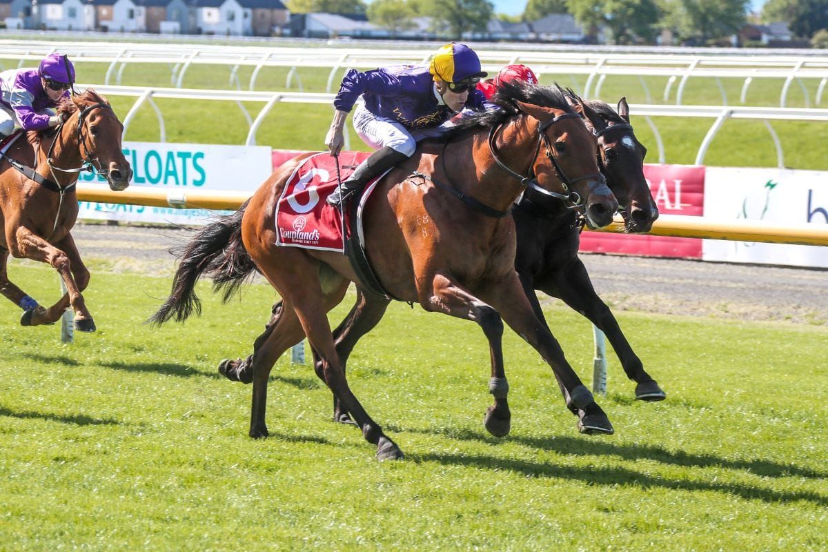 It's Business Time gets fifth win in a row