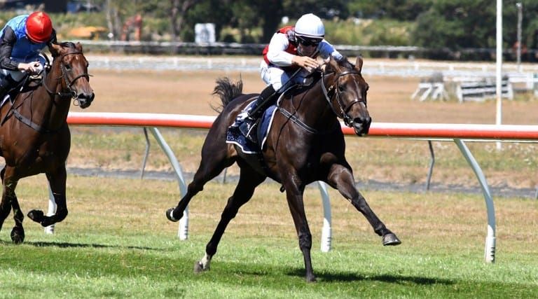 La Crique to press on with Sydney campaign